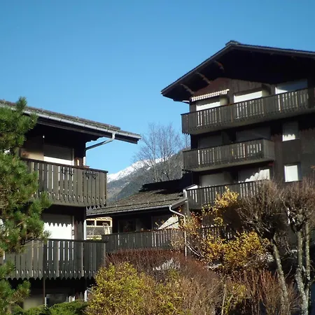 Cosy Proche Des Pistes - Animaux Admis - Fr-1-517-52 アパート シャモニー